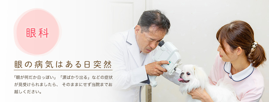 眼科