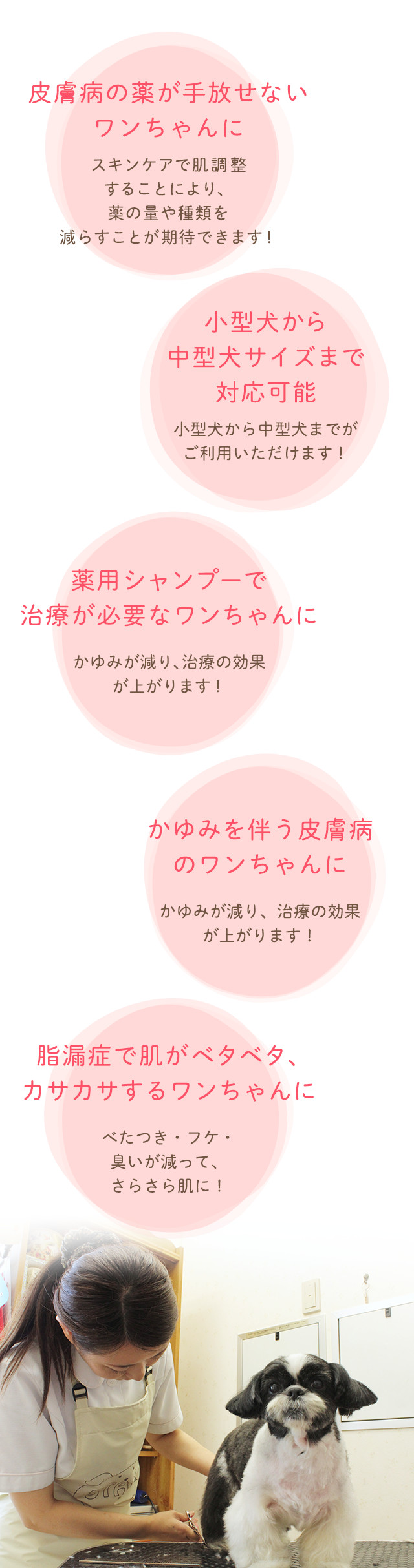 トリミングのご案内 健康で暮らしやすいスタイルもキュートなスタイルも